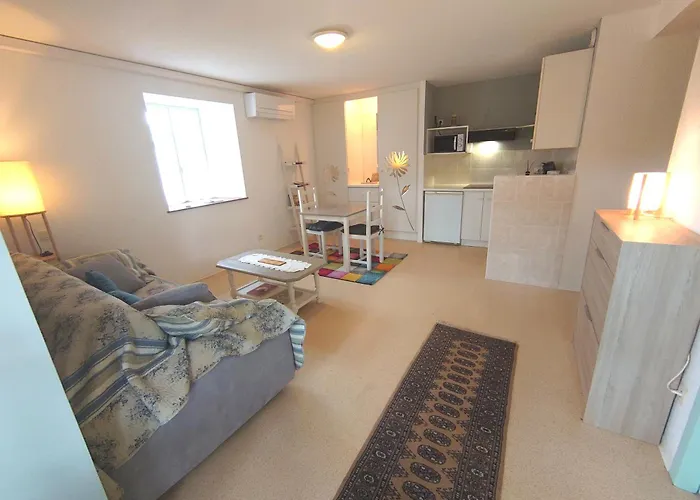 Domaine La Buissiere 